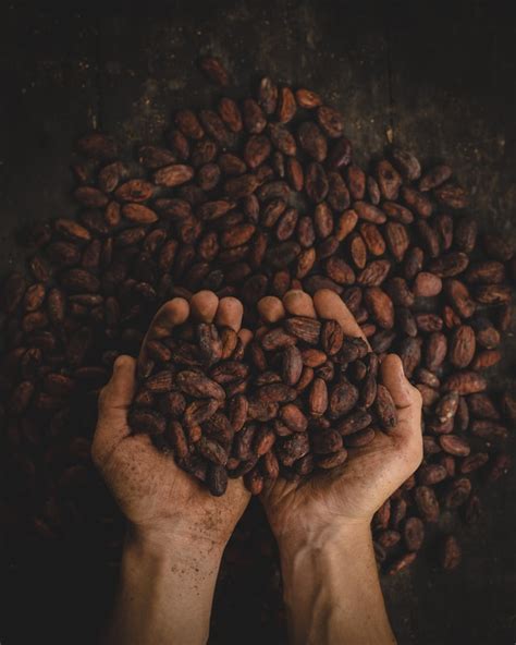 is cacao goed voor gezondheid.